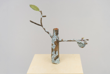 EA10237_Ninho do Beija-Flor_1