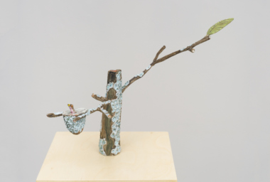 EA10237_Ninho do Beija-Flor_2