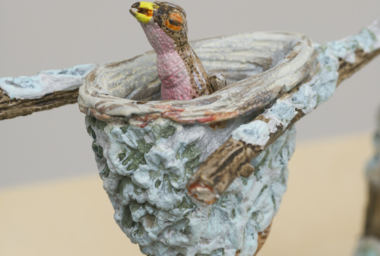 EA10237_Ninho do Beija-Flor_3