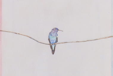 EA10263_Pouso Seattle I_2