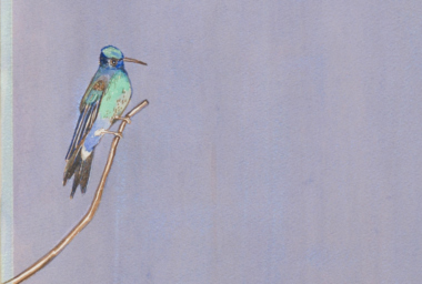 EA10264_Pouso Seattle II_2