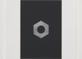 IES10755_Porca_DDMcrop