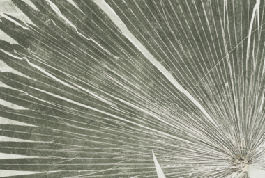 LZ10313_Oriental verde_crop