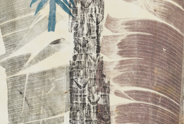 LZ10315_Samambaia azul_crop