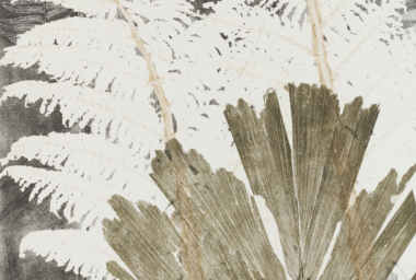 LZ10337_Paxiuba_crop