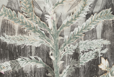 LZ10338_Flor Imperial_crop