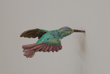 EA10167_Hummingbirds_DDH_4