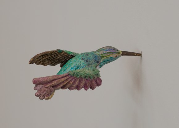 EA10167_Hummingbirds_DDH_4