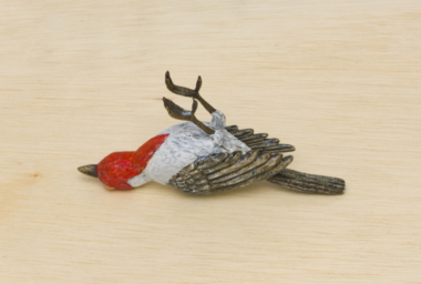 ea10272-d-2-760x512-acf-cropped