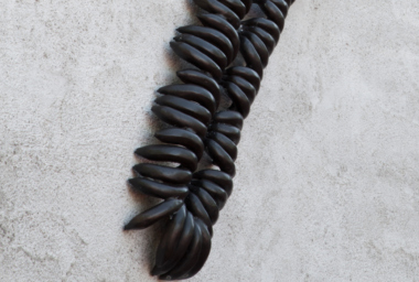 ev11022-centipede-2-1160x832-acf-cropped