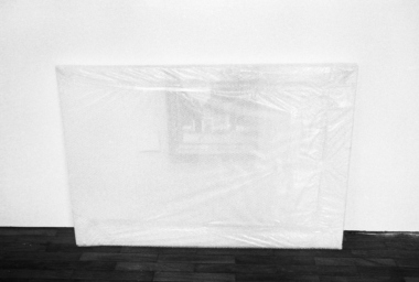 MRE11945_Wrapped Vermeer