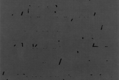 OML00002_Cartas para Poemas Automaticos_Univers 46 S7914_DDM