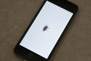 DG10003_B-Movie_DDM2