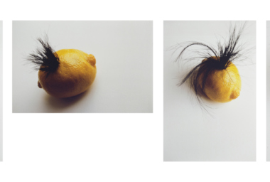 TDE00000_The Story of the Lemon that Grew Hair_set-1