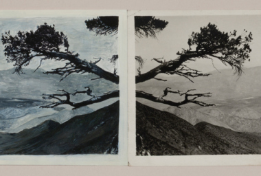 TDE00001_Descanso_DDM