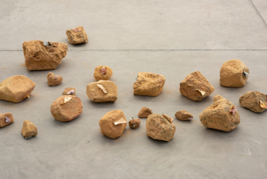 SAR10434_Detrito-origem_1