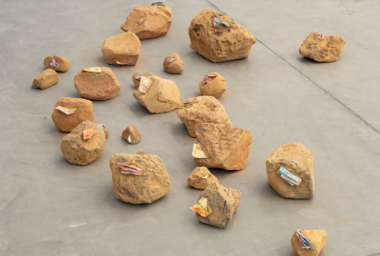 SAR10434_Detrito-origem_2