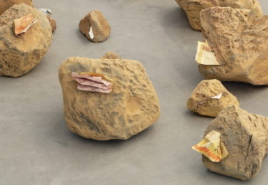 SAR10434_Detrito-origem_3b