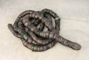 SAR10441_Sentinela_2