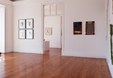 mvm-vista-6-2360x1328-acf-cropped