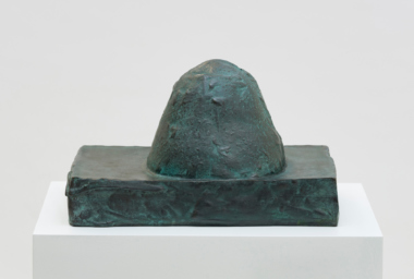 JMP00393_Dromedario debaixo de agua_Underwater Dromedary