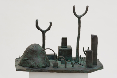 JMP00398_Pulga selvagem_Wild Flea_1