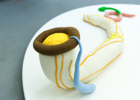 Yuli Yamagata_microwave_3