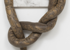 Yuli Yamagata_YU00012_Jiboia I_4