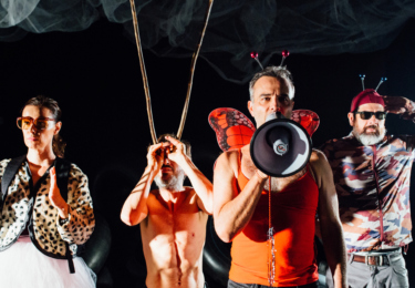 insetos-foto-elisa-mendes-3-1-2360x1328-acf-cropped