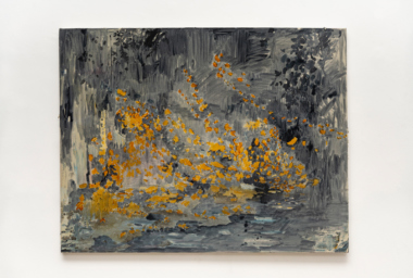 Marina-Rheingantz_MR10463_Ipe