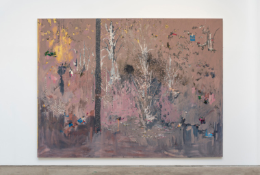 MR10481_Rabetão de Ouro_2