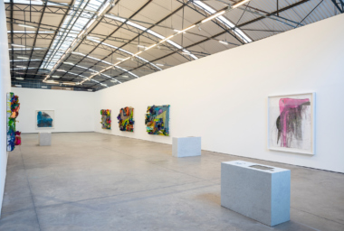 Nuno Ramos_Galpão_01a