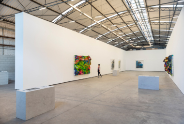 Nuno Ramos_Galpão_05