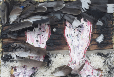 drr00000-new-walk-ddh-760x512-acf-cropped