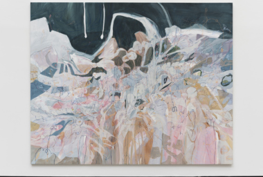 Janaina Tschäpe_JT10584_Redrose Mountainskin_1