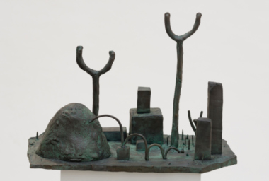 jmp00398-pulga-selvagem-wild-flea-1-760x512-acf-cropped