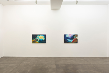 -Tiago Carneiro da Cunha_Galeria_04