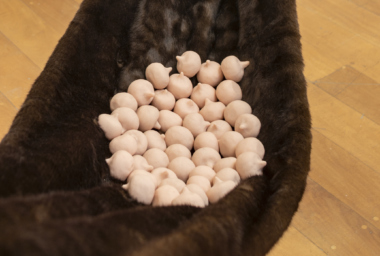 Valeska Soares_VS10298_Untitled 3_From Intimates_2