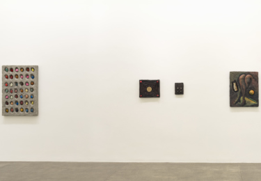 -Erika Verzutti - Carne Sintética_05-