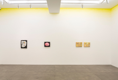 -Erika Verzutti - Carne Sintética_06