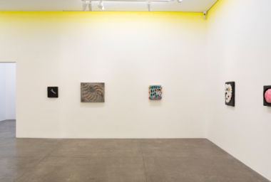 -Erika Verzutti - Carne Sintética_07