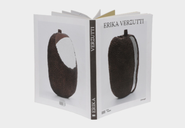 ErikaVerzutti_livro_2c