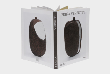 ErikaVerzutti_livro_2c