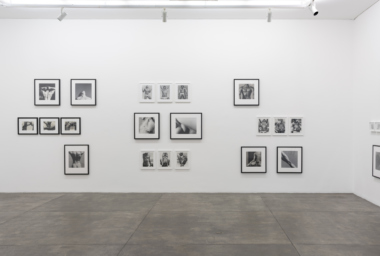 MAP_Alair Gomes e Robert Mapplethorpe_DDM1 (1)