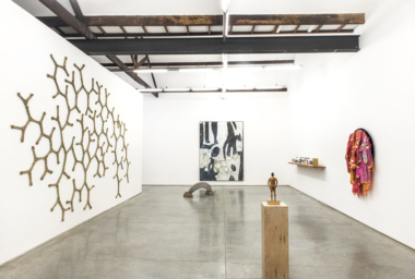 Pulse - Carpintaria - foto Vicente de Mello.VDM_8830