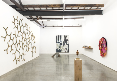 Pulse - Carpintaria - foto Vicente de Mello.VDM_8830