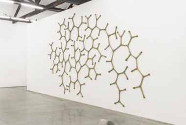 Pulse - Carpintaria - foto Vicente de Mello.VDM_8854