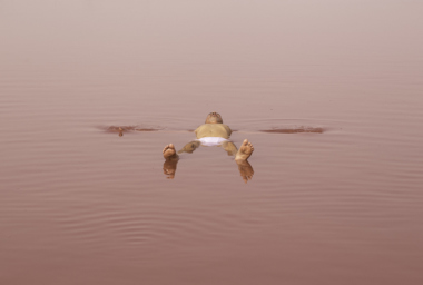 Ayrson_Heraclito_Historia_do_Futuro_Corpo_e_Sal_2015_150x225