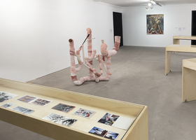 CORPO-CASA, expo coletiva -38, Carolee Schneemann, Diego Bianchi e Márcia Falcão, Pivô, 04.2024 ©EVERTON BALLARDIN