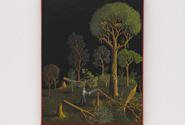 ALEX CERVENY Pau-Brasil , 2021